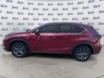 2020 Lexus NX 300 F SPORT